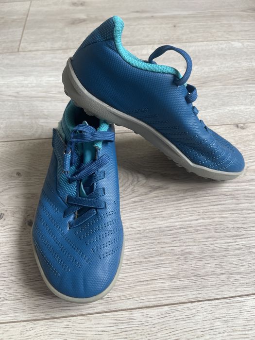 крассовки сороконожка