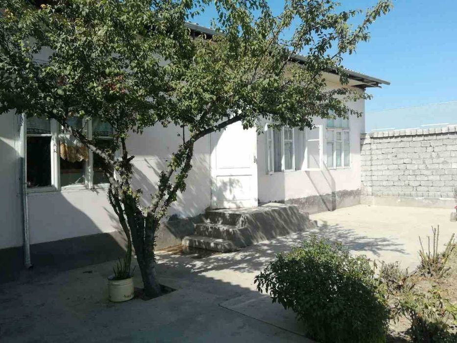 Сирдаре вилояти
Гулистон шахар
Нихол мфй уй сотилади