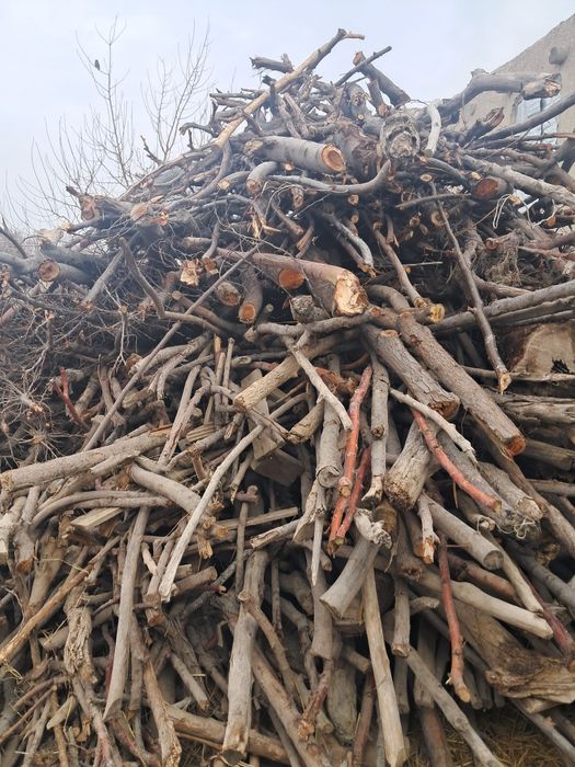 O‘tin sotiladi narxini kelishamiz