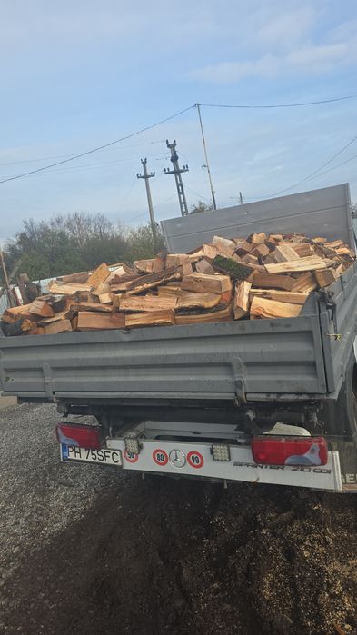 Lemne de foc fag sparte