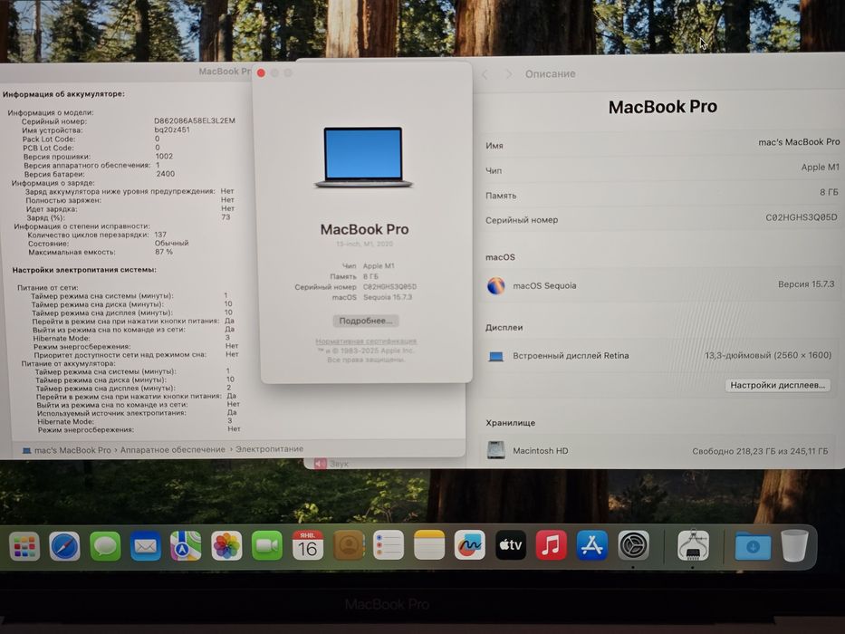 Apple MacBook Pro 13 M1 8/256