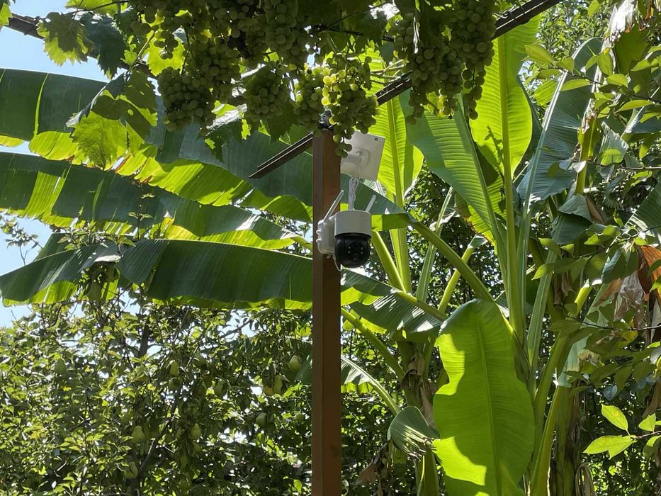 Соларна WiFi smart камера, FULL HD 12MP - iCSee