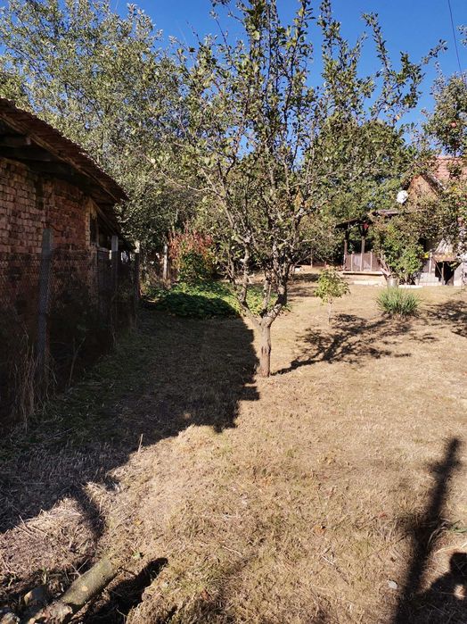 Косене. Рязане на храсти и опасни дървета. Разчистване на терени.