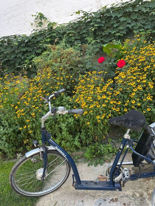 Tricicletă electrică