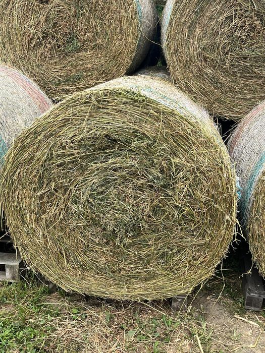 Vând baloți de lucernă, fân, otavă, lucernă înfoliată