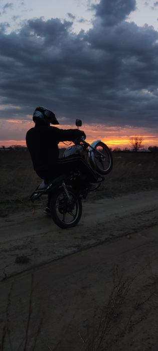 Продам альфу пишите в ЛС там все раскажу