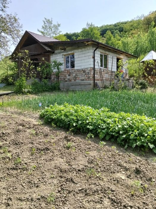 Cabana cu cf teren intravilan 1178mp