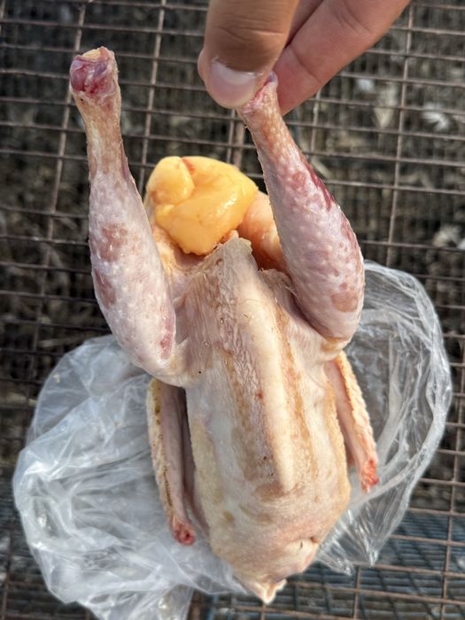 Продам суповых курей