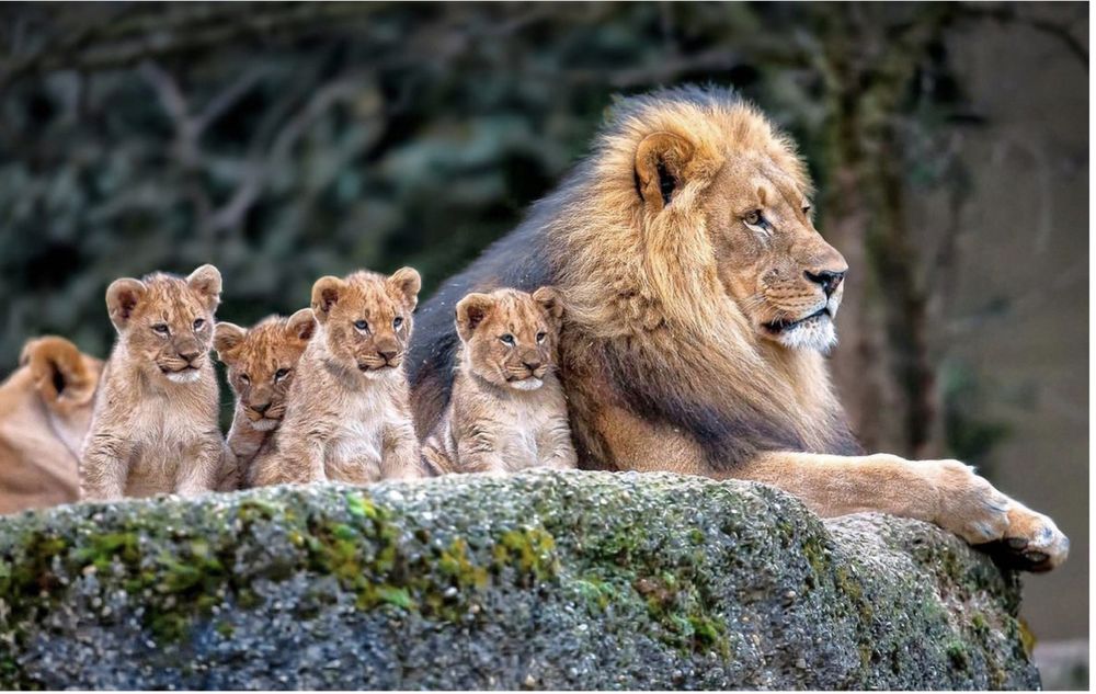 Картины (фото в рамках)