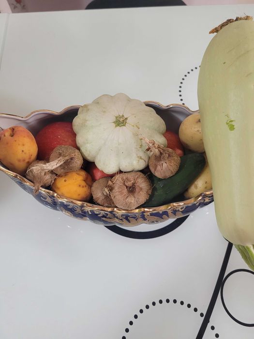 Bulbi sofran 100lei/kg, sau 1 leu bucata. Dimensiuni 8-13cm, aclimatizati in Arad, cultura proprie!