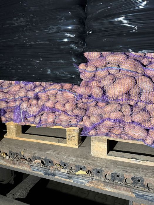 Vând cartofi albi și roșii