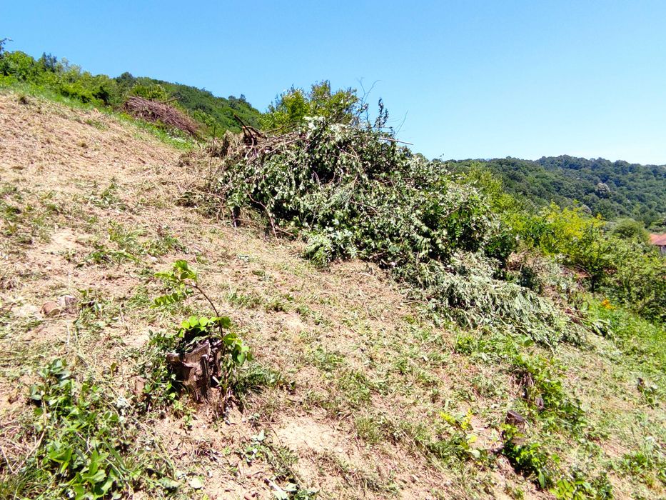 Изграждане на поливни системи. Ландшафтен дизайн. Почистване на терени