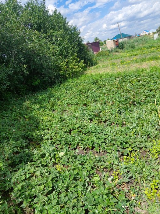 Продам дачный участок