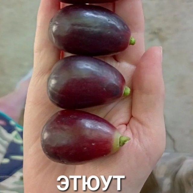 УЗУМ Аватар ламбаржини хелойин алвика велика сакура американски блек