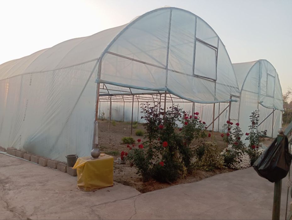 Issiq hona yangi holatda