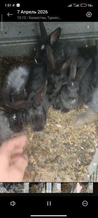 Обмен бар қызықтыратын затарын болса