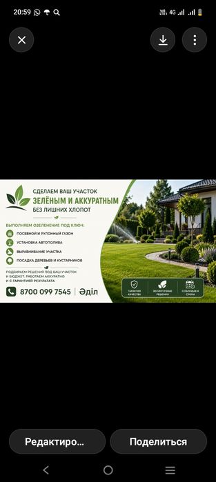Озеленение территории