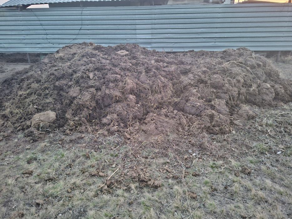 Коровий навоз для удобрения! Забирайте!