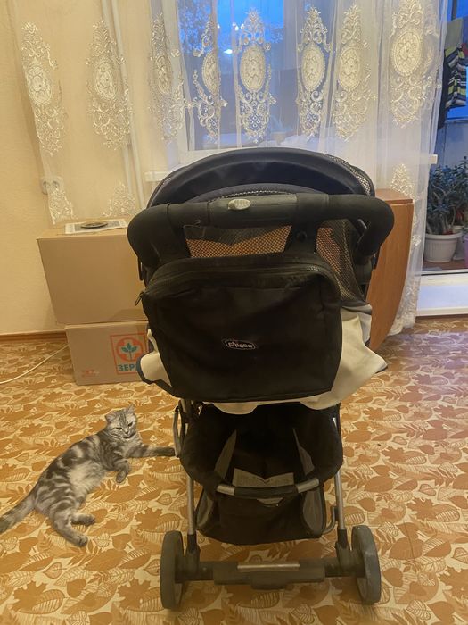 Детская коляска Chicco