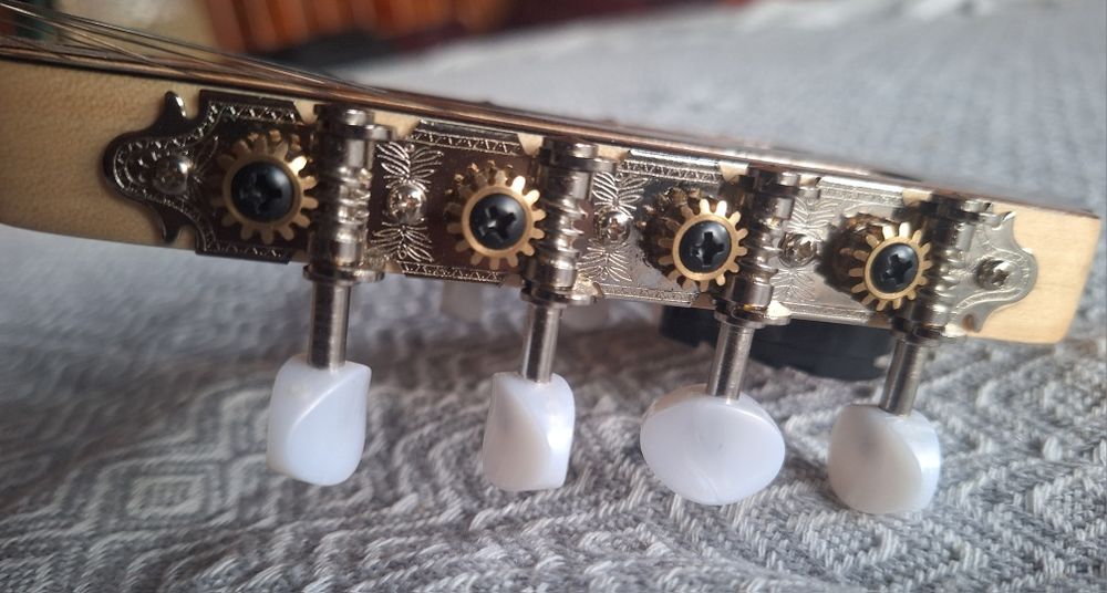 Bouzouki / Бузуки