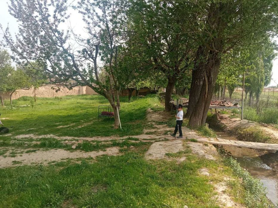 Срочно ховли сотилади