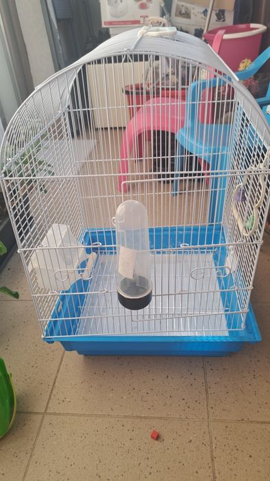 Vand  colivie mare pentru peruș dar si mica