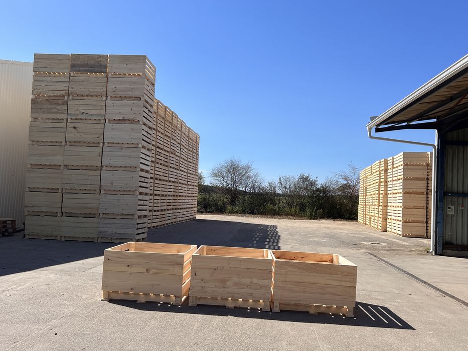 Lazi din lemn pentru legume/Lazi pentru cartofi/Lazi pentru mere