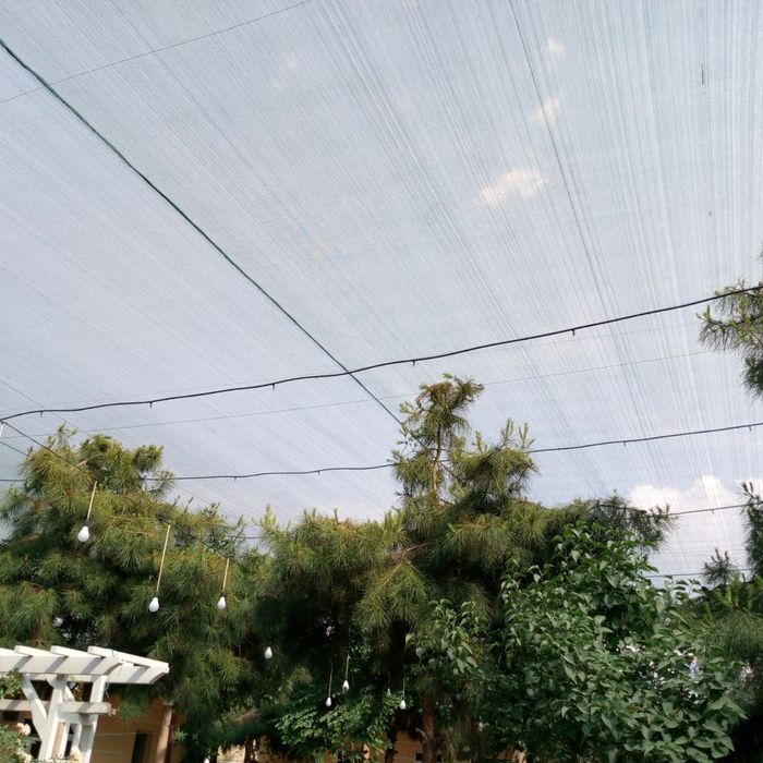 Setka tortish hizmati soya salqin setka tortish hizmati turetski