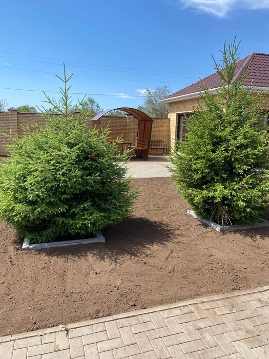 Благоустройство территории