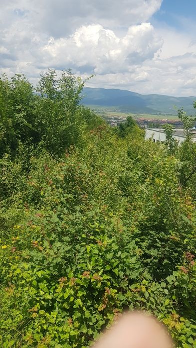 Продава се Парцел в Кюстендил, Център - 1430 кв.м за 77 €/кв.м - Снимка #1