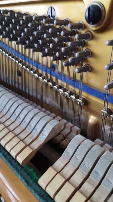 Немско пиано Bluthner