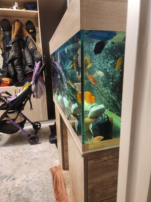 Аквариум недорог