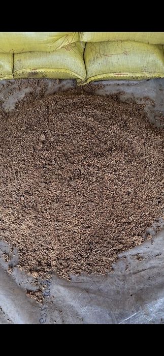 Товуклар ва молар