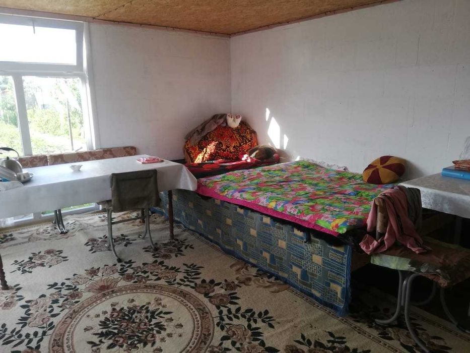 Дом шикарный в Дружбе