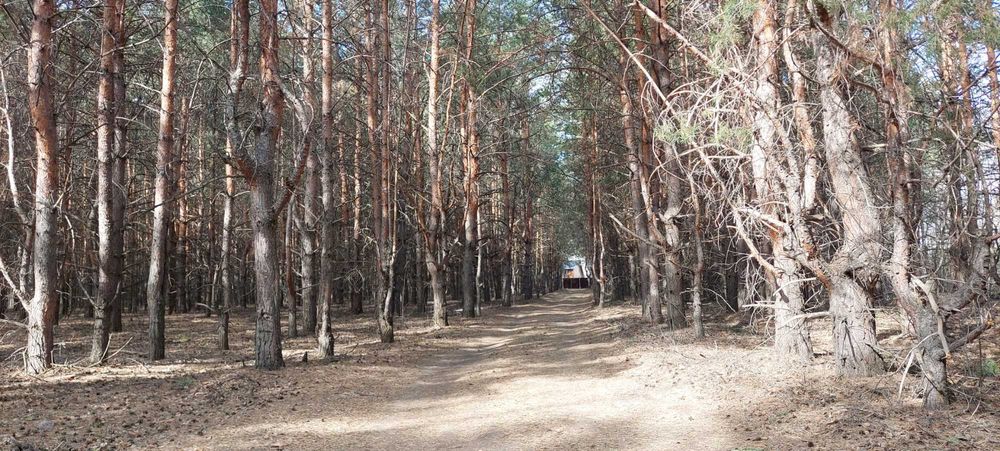 Продам участок земли