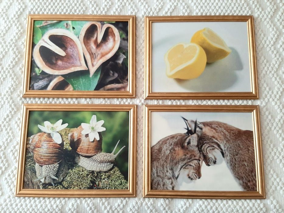 Продам интерьерные картины