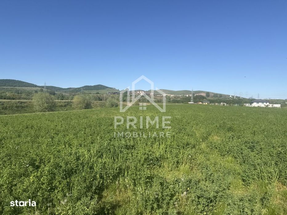 Teren intravilan de vanzare | 5800 MP – Zona Orizont
