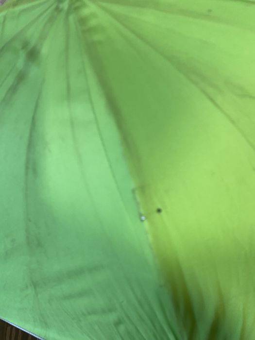 Зонт для коляски