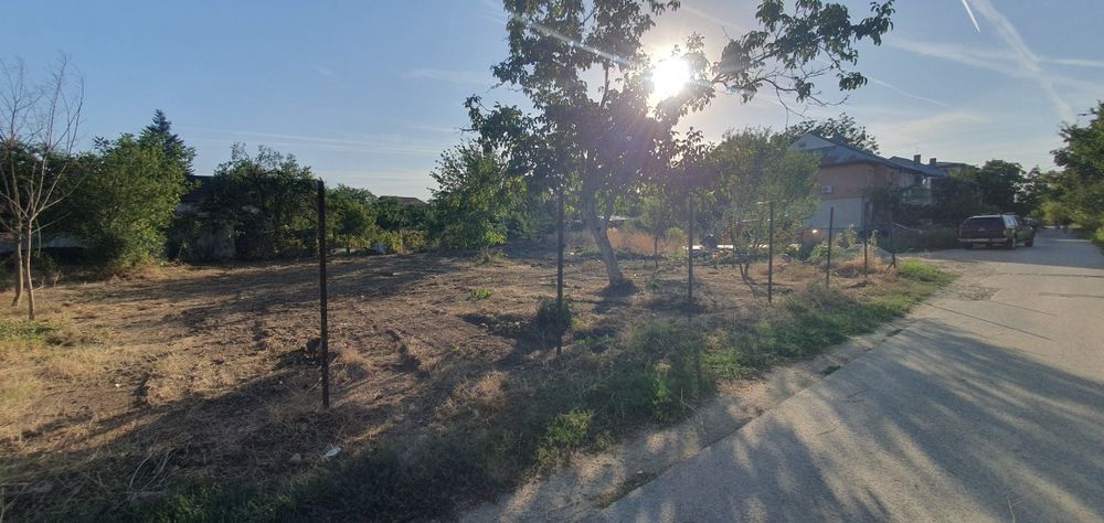 Curatare vegetatie, Salubrizare Igienizare, Defrisare Tocare crengi