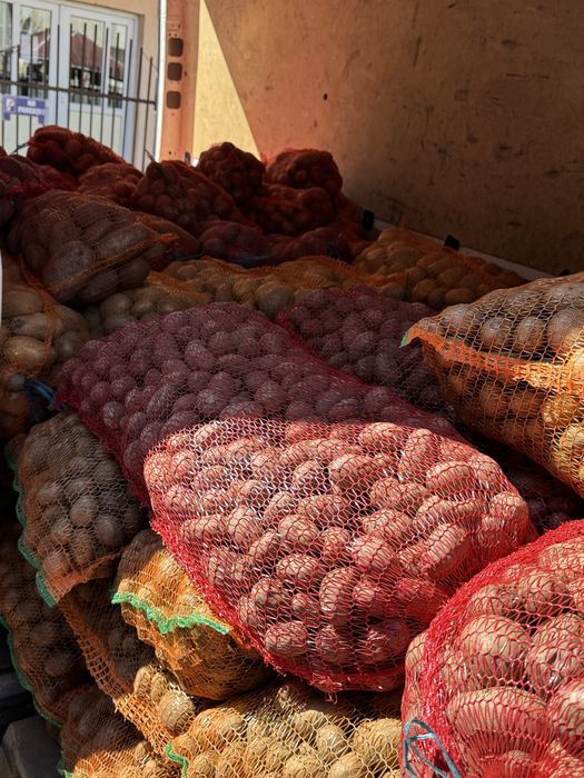 Cartof de consum si de samanta pret imbatabil