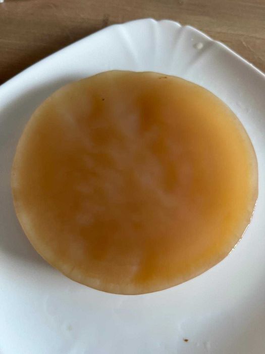 Vand ciuperca Kombucha (SCOBY) + starter + instructiuni complete!