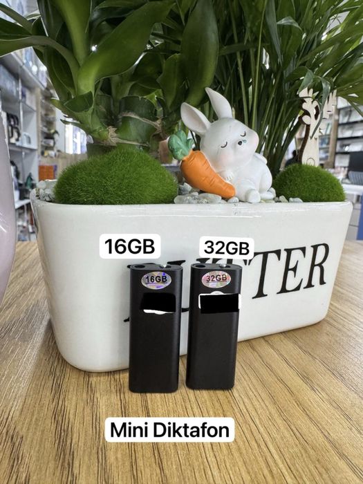 mini diktafon sikretni