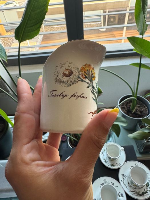 Villeroy & Boch Botanica