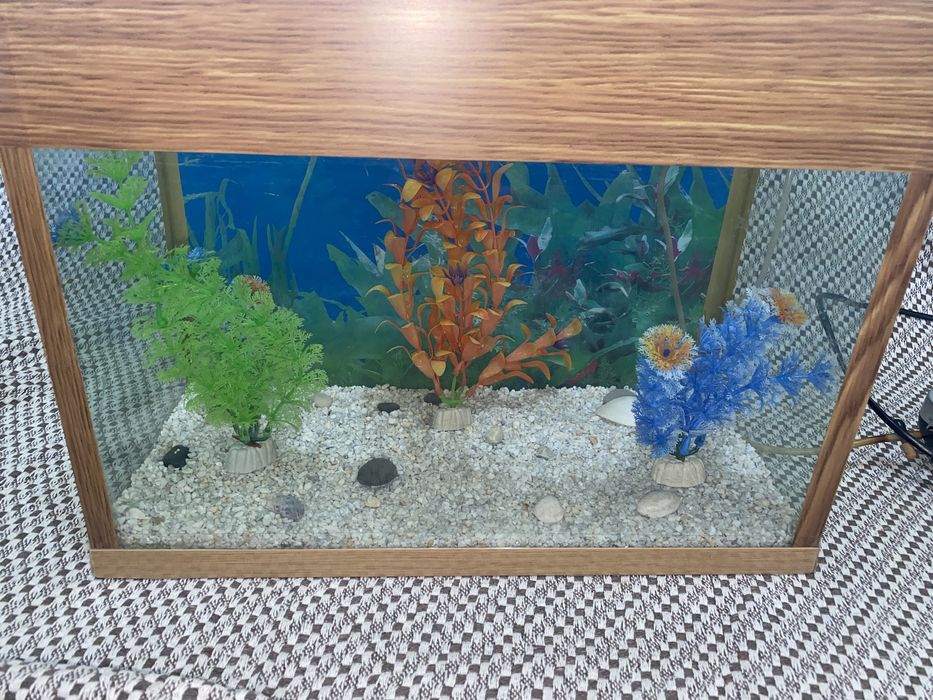 TAYYOR akvarium sotiladi.