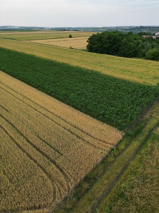 Teren de vânzare – 2.800 mp – între Frumoasa și Liteni