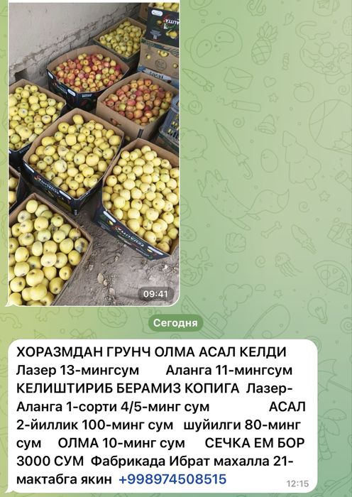 Олма семеренка сотизади