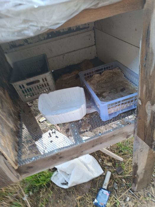 Продаётся клетка