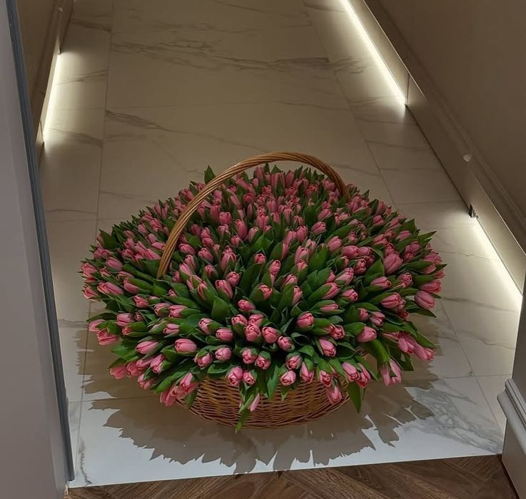 Тюльпаны 101