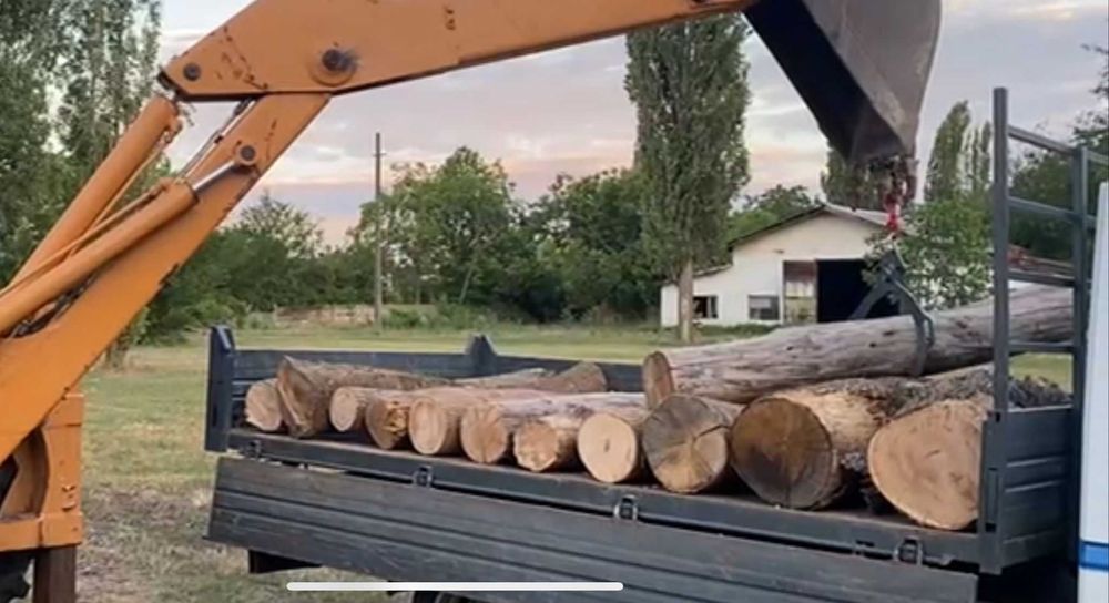 Bușteni uscați ptr. foc, stejar/frasin, cubat corect