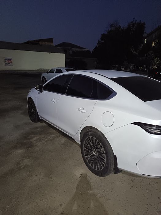 byd chazor GIBRID